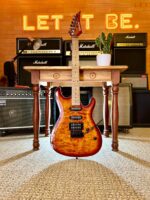 Guitarra Waldman WIS-160 QSB